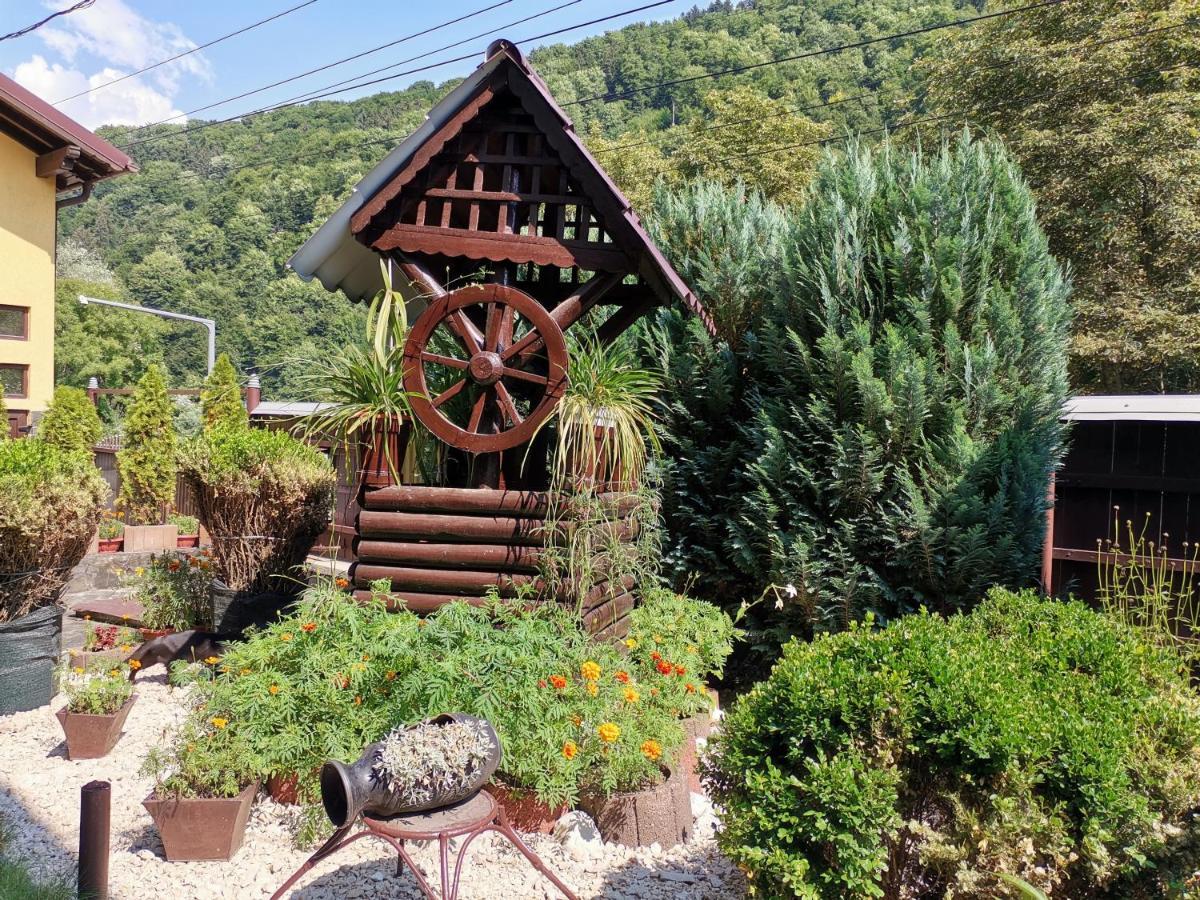 Shelby Accommodation -Adult Only- Sinaia Exteriör bild