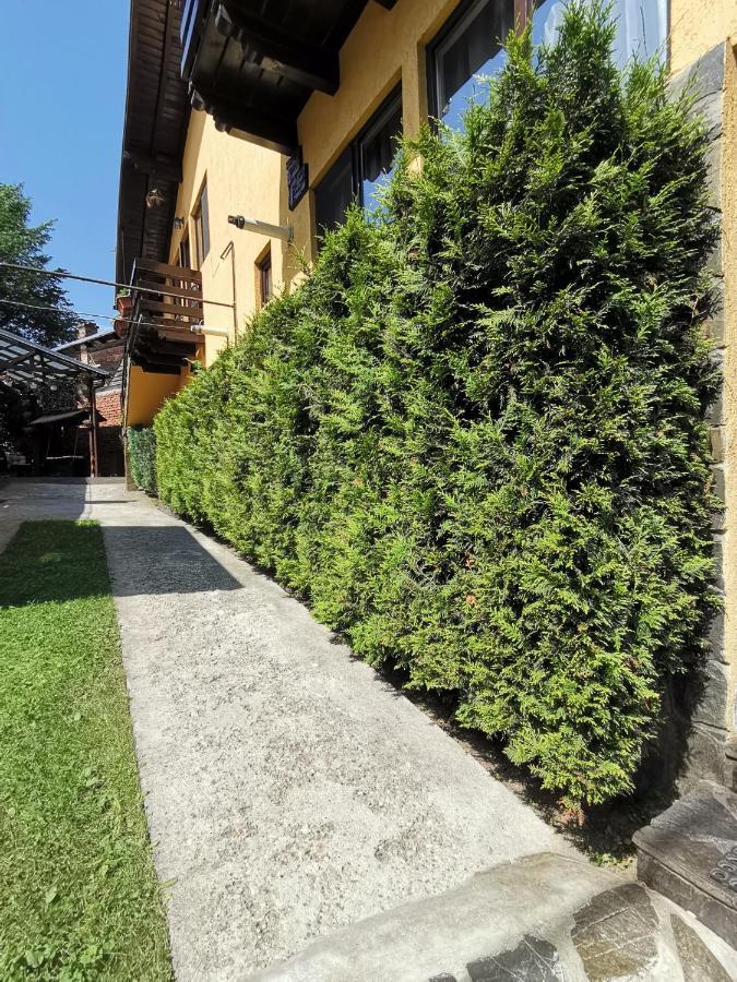 Shelby Accommodation -Adult Only- Sinaia Exteriör bild