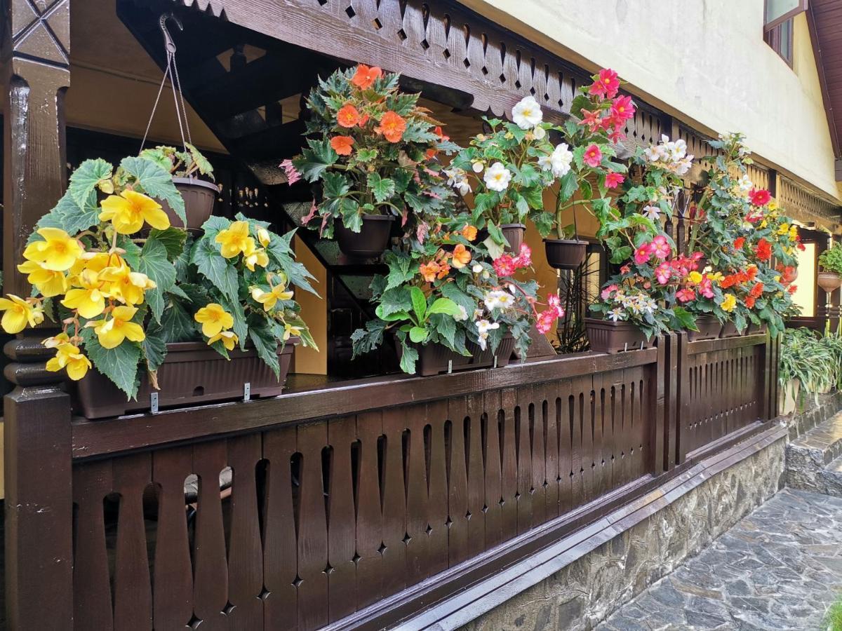 Shelby Accommodation -Adult Only- Sinaia Exteriör bild