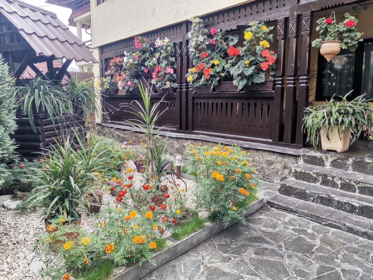 Shelby Accommodation -Adult Only- Sinaia Exteriör bild