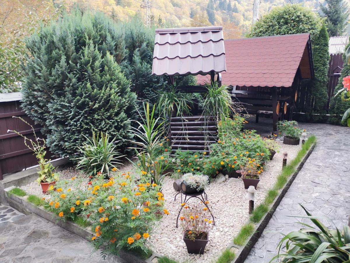 Shelby Accommodation -Adult Only- Sinaia Exteriör bild
