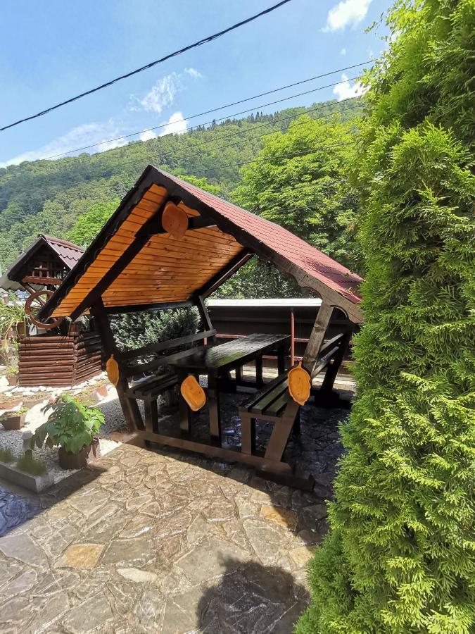 Shelby Accommodation -Adult Only- Sinaia Exteriör bild